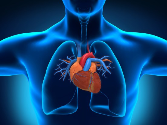 dreamstime_xl_30599614 (1)